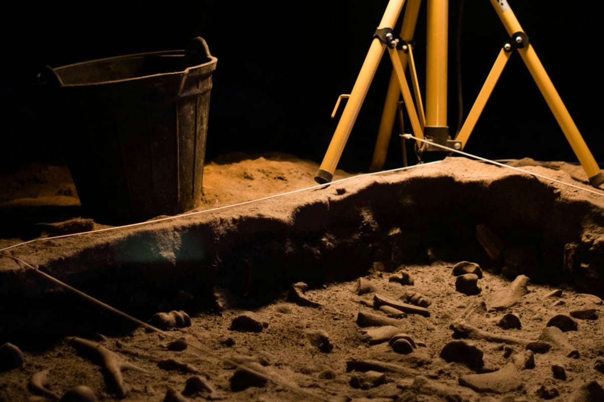 Dig into History at Aberdeen Art Gallery’s Archaeology Event