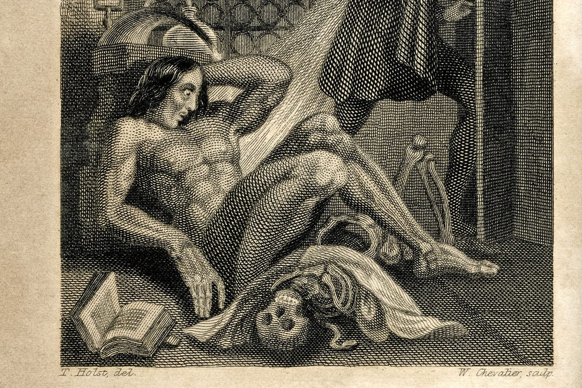 Fear and Fascination Arrives at the Sir Duncan Rice Library