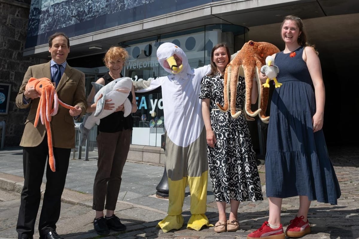 Coastal Tales and Curious Creatures Take over Aberdeen