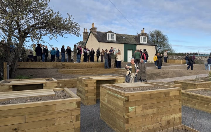 Newly built raised wooden planters in a walled garden, with a crowd gathered behind them.