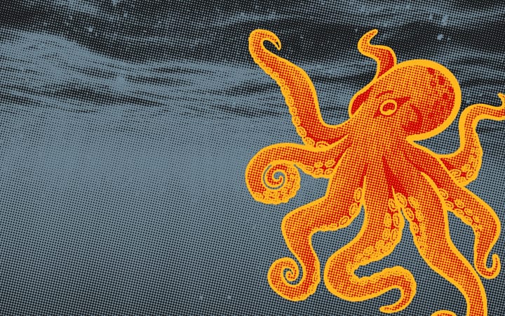 Graphic illustration of an orange octopus on a blue-grey halftone background